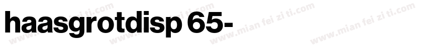 haasgrotdisp 65字体转换